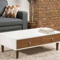 Coffee Table – White and Brown, 50 x 40 x 100 cm | CT3